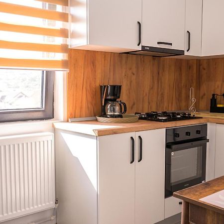 شقة Nina House Târgu Jiu الغرفة الصورة